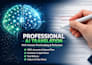 provide professional ai translation and human editing
